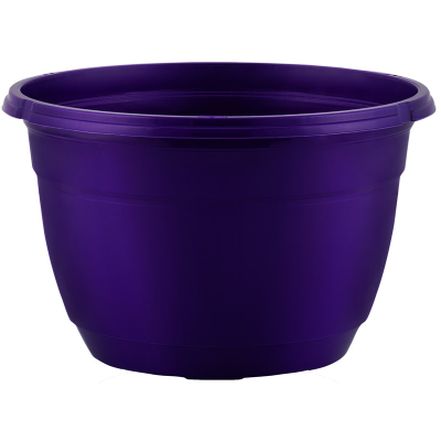 Hanging Basket 27cm + 45cm Hanger Blackberry