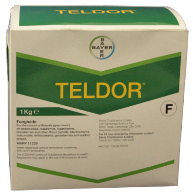 Teldor