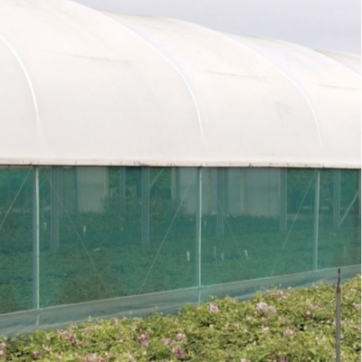 Monofilament 50% Windbreak 3 x 50m
