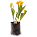 Hadopot HP1