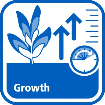 Growth