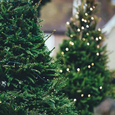 Jobs For December